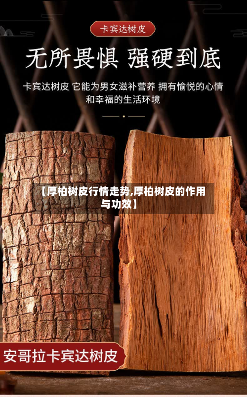 【厚柏树皮行情走势,厚柏树皮的作用与功效】-第1张图片