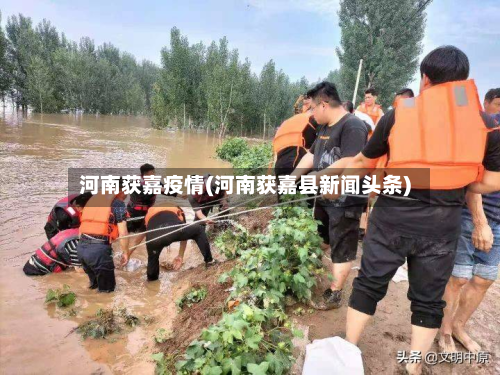河南获嘉疫情(河南获嘉县新闻头条)-第2张图片