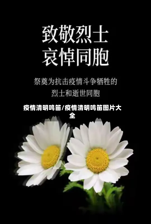疫情清明鸣笛/疫情清明鸣笛图片大全-第2张图片