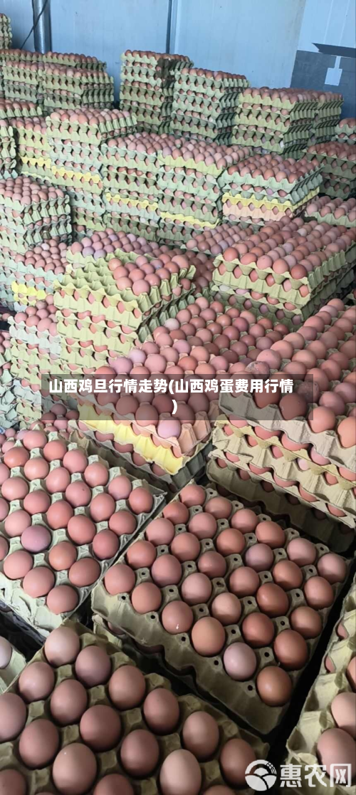 山西鸡旦行情走势(山西鸡蛋费用行情)-第1张图片