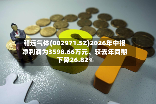 和远气体(002971.SZ)2026年中报净利润为3598.66万元	、较去年同期下降26.82%-第2张图片