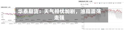 华泰期货：天气担忧加剧，油脂震荡走强-第2张图片
