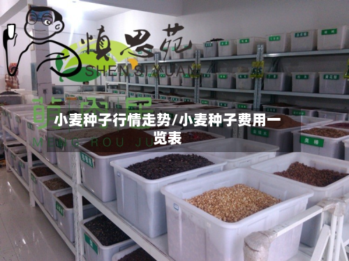 小麦种子行情走势/小麦种子费用一览表-第1张图片