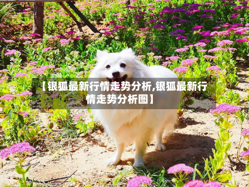 【银狐最新行情走势分析,银狐最新行情走势分析图】-第2张图片