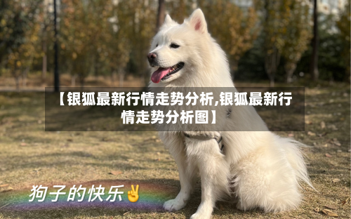 【银狐最新行情走势分析,银狐最新行情走势分析图】-第1张图片