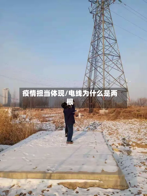 疫情担当体现/电线为什么是两根-第3张图片