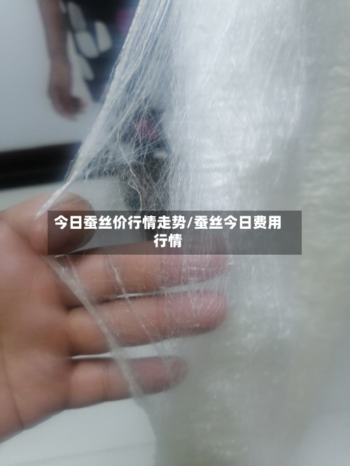 今日蚕丝价行情走势/蚕丝今日费用行情-第3张图片