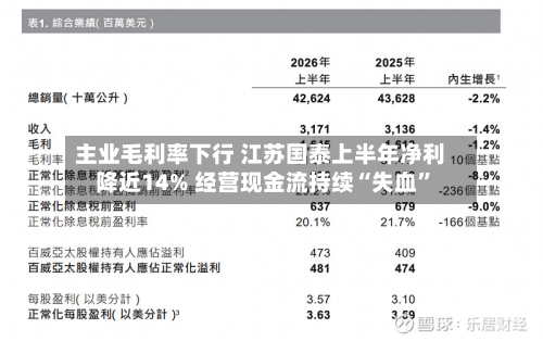 主业毛利率下行 江苏国泰上半年净利降近14% 经营现金流持续“失血	”-第1张图片
