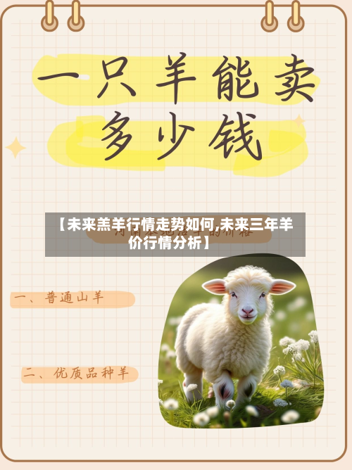 【未来羔羊行情走势如何,未来三年羊价行情分析】-第3张图片