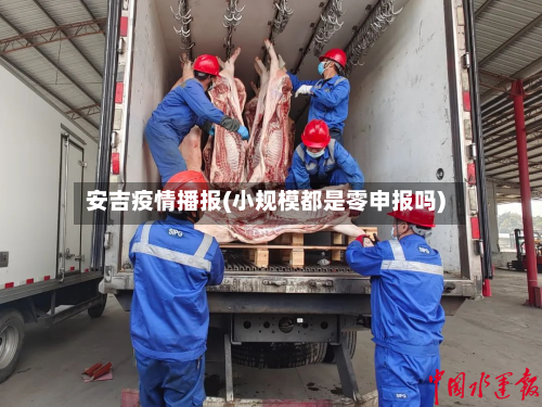 安吉疫情播报(小规模都是零申报吗)-第1张图片