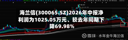 海兰信(300065.SZ)2026年中报净利润为1025.05万元	、较去年同期下降69.98%-第2张图片