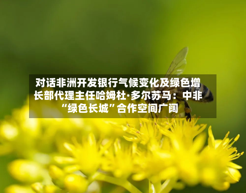 对话非洲开发银行气候变化及绿色增长部代理主任哈姆杜·多尔苏马：中非“绿色长城”合作空间广阔-第1张图片