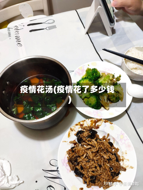 疫情花汤(疫情花了多少钱)-第2张图片