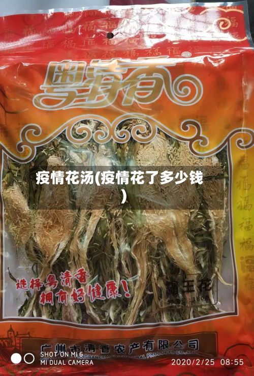 疫情花汤(疫情花了多少钱)-第1张图片