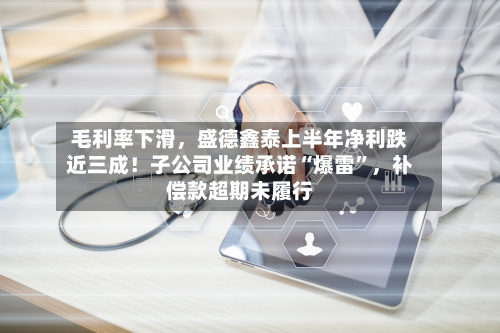毛利率下滑	，盛德鑫泰上半年净利跌近三成！子公司业绩承诺“爆雷”，补偿款超期未履行-第2张图片