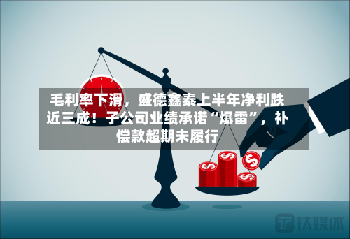 毛利率下滑，盛德鑫泰上半年净利跌近三成！子公司业绩承诺“爆雷”，补偿款超期未履行-第1张图片