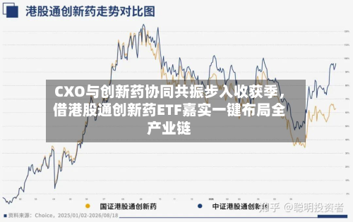 CXO与创新药协同共振步入收获季，借港股通创新药ETF嘉实一键布局全产业链-第2张图片