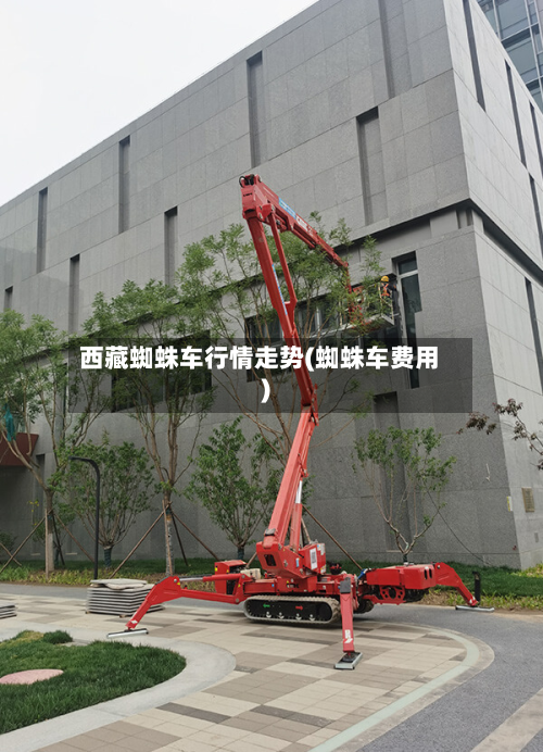 西藏蜘蛛车行情走势(蜘蛛车费用)-第1张图片