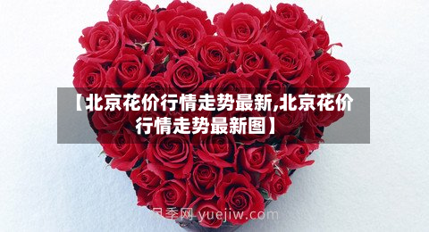【北京花价行情走势最新,北京花价行情走势最新图】-第1张图片