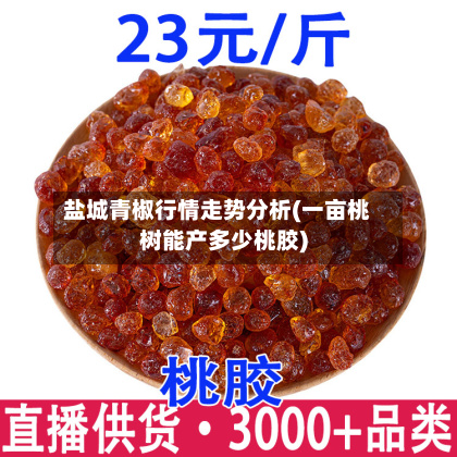 盐城青椒行情走势分析(一亩桃树能产多少桃胶)-第1张图片