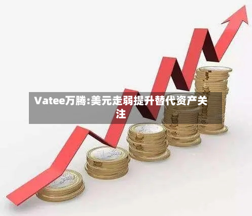 Vatee万腾:美元走弱提升替代资产关注-第2张图片