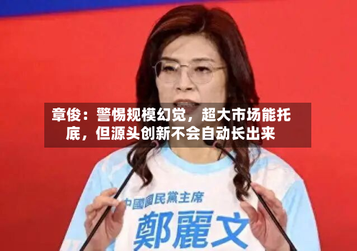 章俊：警惕规模幻觉	，超大市场能托底，但源头创新不会自动长出来-第1张图片
