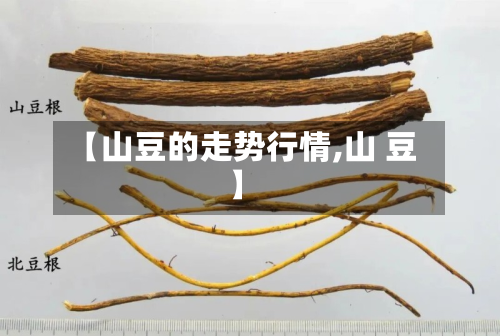 【山豆的走势行情,山 豆】-第1张图片