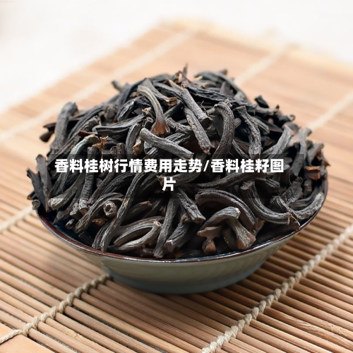 香料桂树行情费用走势/香料桂籽图片-第3张图片