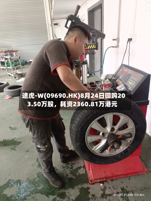 途虎-W(09690.HK)8月24日回购203.50万股，耗资2360.81万港元-第1张图片