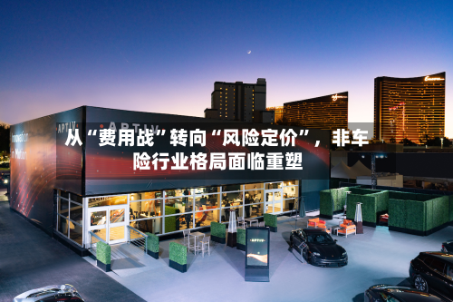 从“费用战”转向“风险定价”，非车险行业格局面临重塑-第3张图片