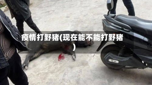 疫情打野猪(现在能不能打野猪)-第3张图片