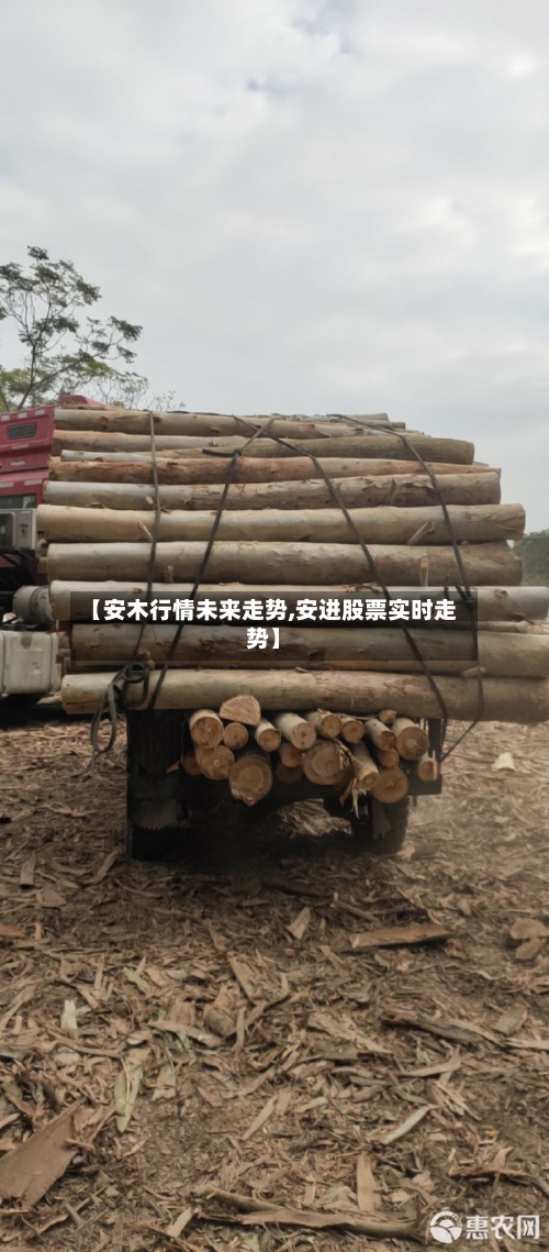 【安木行情未来走势,安进股票实时走势】-第2张图片