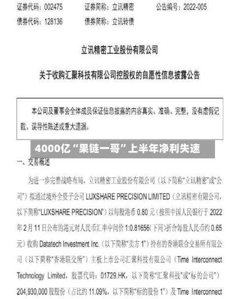 4000亿“果链一哥”上半年净利失速-第2张图片