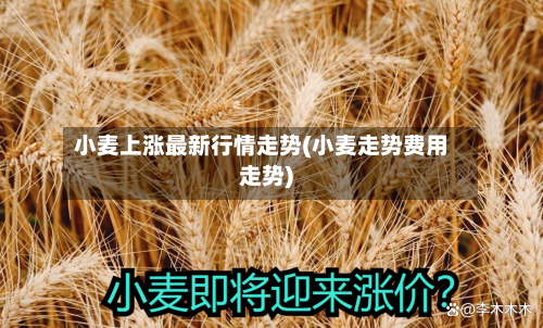 小麦上涨最新行情走势(小麦走势费用走势)-第1张图片