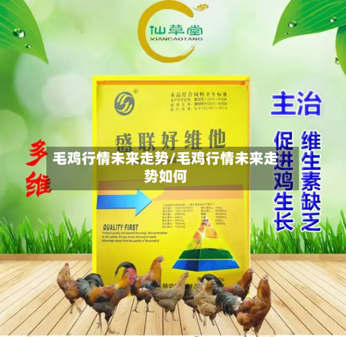 毛鸡行情未来走势/毛鸡行情未来走势如何-第3张图片