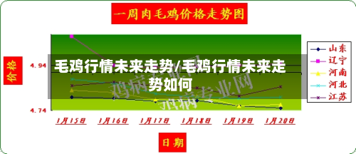 毛鸡行情未来走势/毛鸡行情未来走势如何-第2张图片