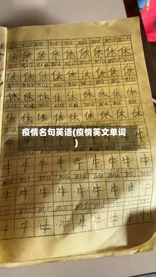 疫情名句英语(疫情英文单词)-第2张图片