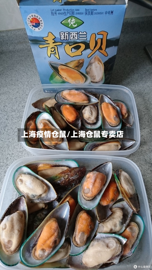 上海疫情仓鼠/上海仓鼠专卖店-第2张图片