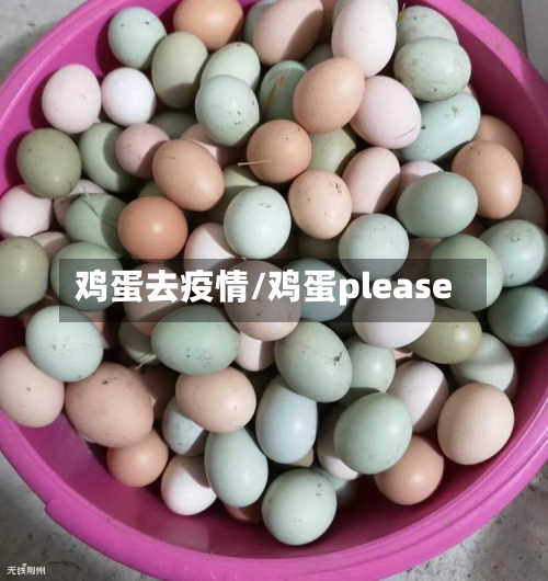 鸡蛋去疫情/鸡蛋please-第1张图片