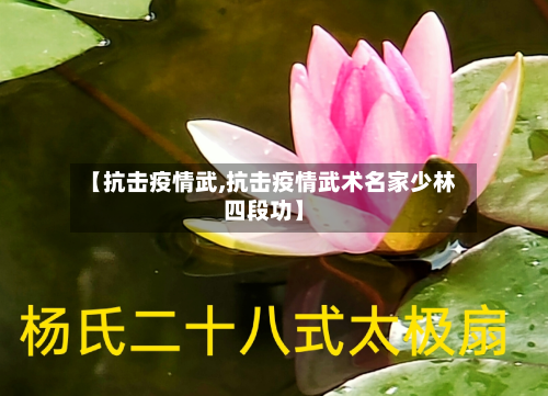 【抗击疫情武,抗击疫情武术名家少林四段功】-第1张图片