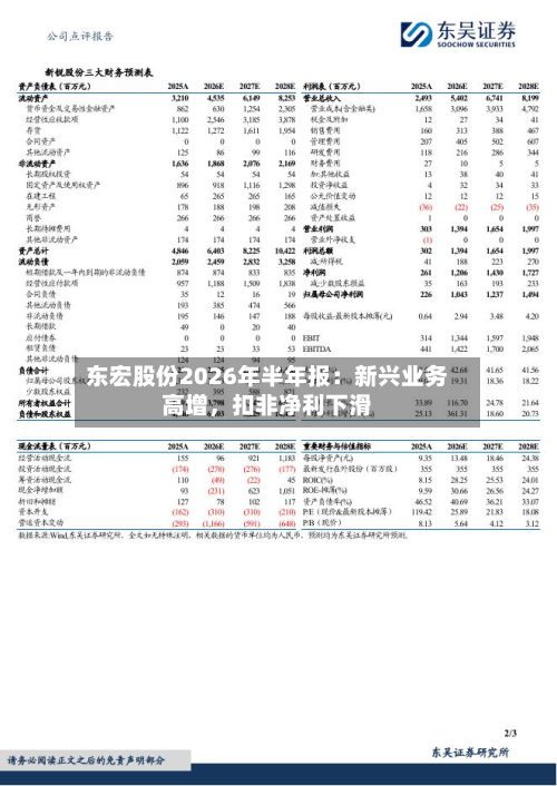 东宏股份2026年半年报：新兴业务高增	，扣非净利下滑-第3张图片