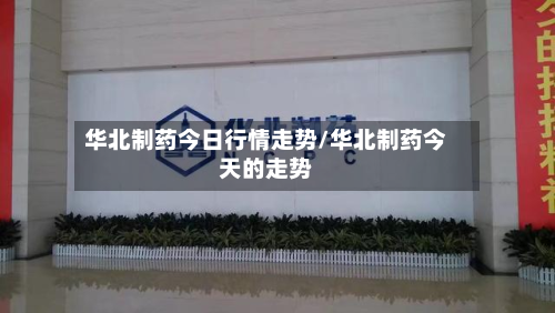 华北制药今日行情走势/华北制药今天的走势-第1张图片