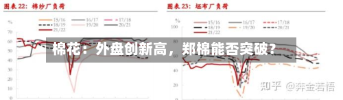 棉花：外盘创新高，郑棉能否突破？-第3张图片