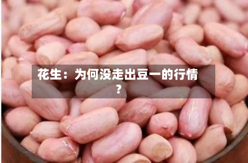 花生：为何没走出豆一的行情？-第1张图片