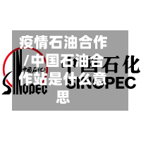 疫情石油合作/中国石油合作站是什么意思-第1张图片