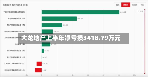 大龙地产上半年净亏损3418.79万元-第3张图片