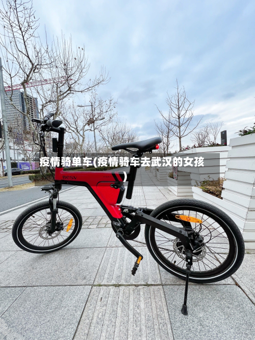 疫情骑单车(疫情骑车去武汉的女孩)-第2张图片
