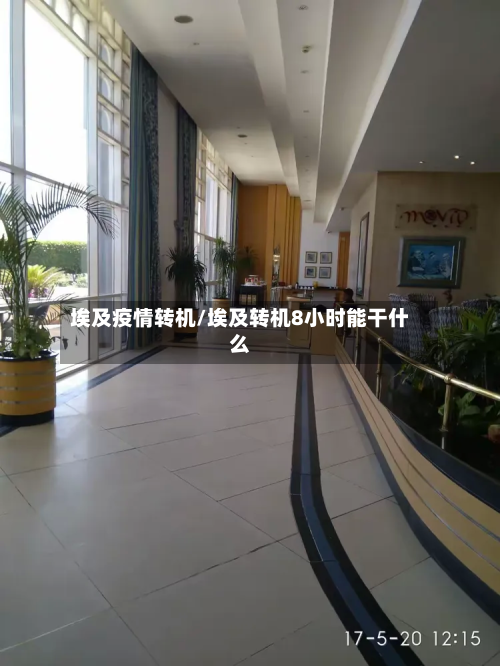 埃及疫情转机/埃及转机8小时能干什么-第2张图片