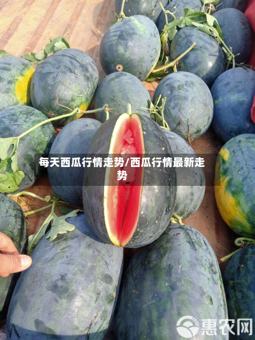 每天西瓜行情走势/西瓜行情最新走势-第1张图片