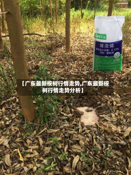 【广东最新桉树行情走势,广东最新桉树行情走势分析】-第2张图片